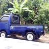 putrapamangkih89