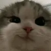djekdjejd