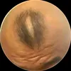 1kfldoiten_nha
