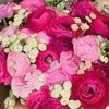user0802040420031992