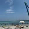 anh.mai0912
