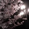 kaisi_382