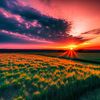 mazs_1304