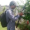 naveedbusal