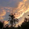 bichthao12334
