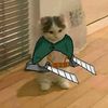 parry_max