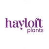 hayloftplants