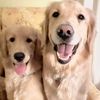izzyrileyandfam