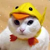 userqisoe5takd
