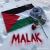 malakmsalah461