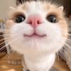 zhanikosh_085