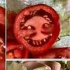 mr.tomato54