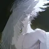 8or04