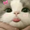 zahraa0_a