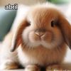 ashley25894