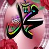 amadounaib