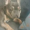 eriksrmx5mv