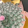 mizhsunshine47