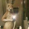frans_670