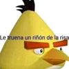 pablo2990e9