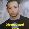 dicenquepalnarc0_7