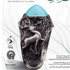ramin12bagheri