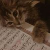 u_quraan