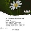 md.habib.gazi85