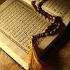 im_deema13