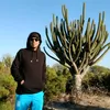 mate_cosidoo