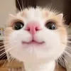 yui_cyy