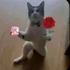 vcaopthien