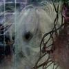 random_4xel0