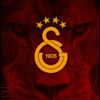 aslankral4343