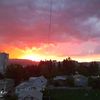 liziko_liziko6