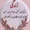 habib_ch6