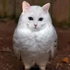 qwlansk