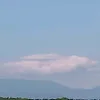 thanhnhvo