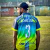 3_fan_shaju