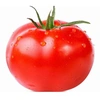 tomato_5819