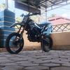 dendibex