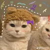 xuansang.qb