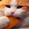 apple_pie_43