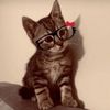 spookykitty226