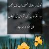 ayesha_jannat.1