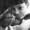 nisnis_19077