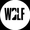 ws_wolf_yt