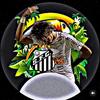 santos__njr