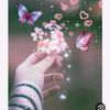 🍀جمالُ 🌺الخَالقْ☘