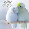 khadija_5570